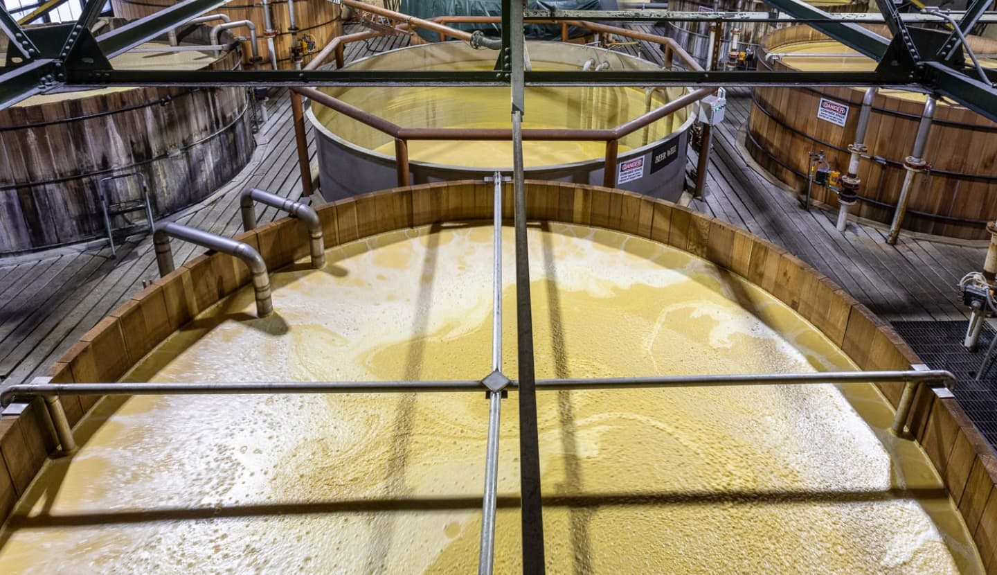 Overhead shot of mash fermentation at the Four Roses distillery.